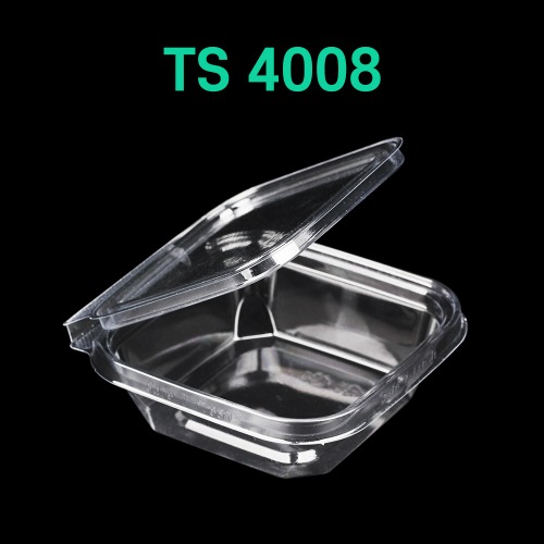 TS 4008